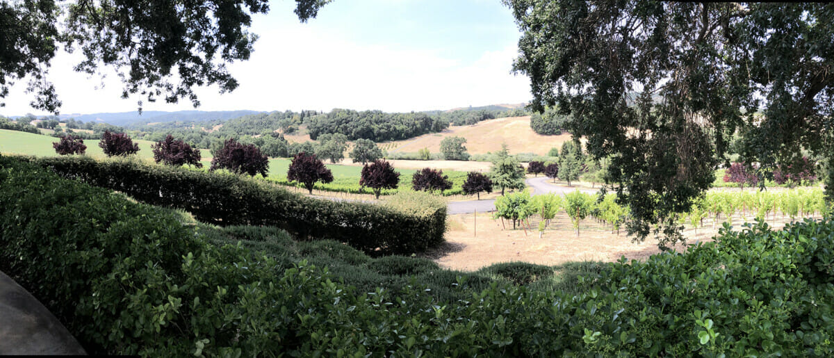 View from Denner Vineyards ©Cori Solomon - wineries in Paso Robles