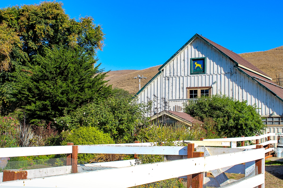 things to do in Half Moon Bay