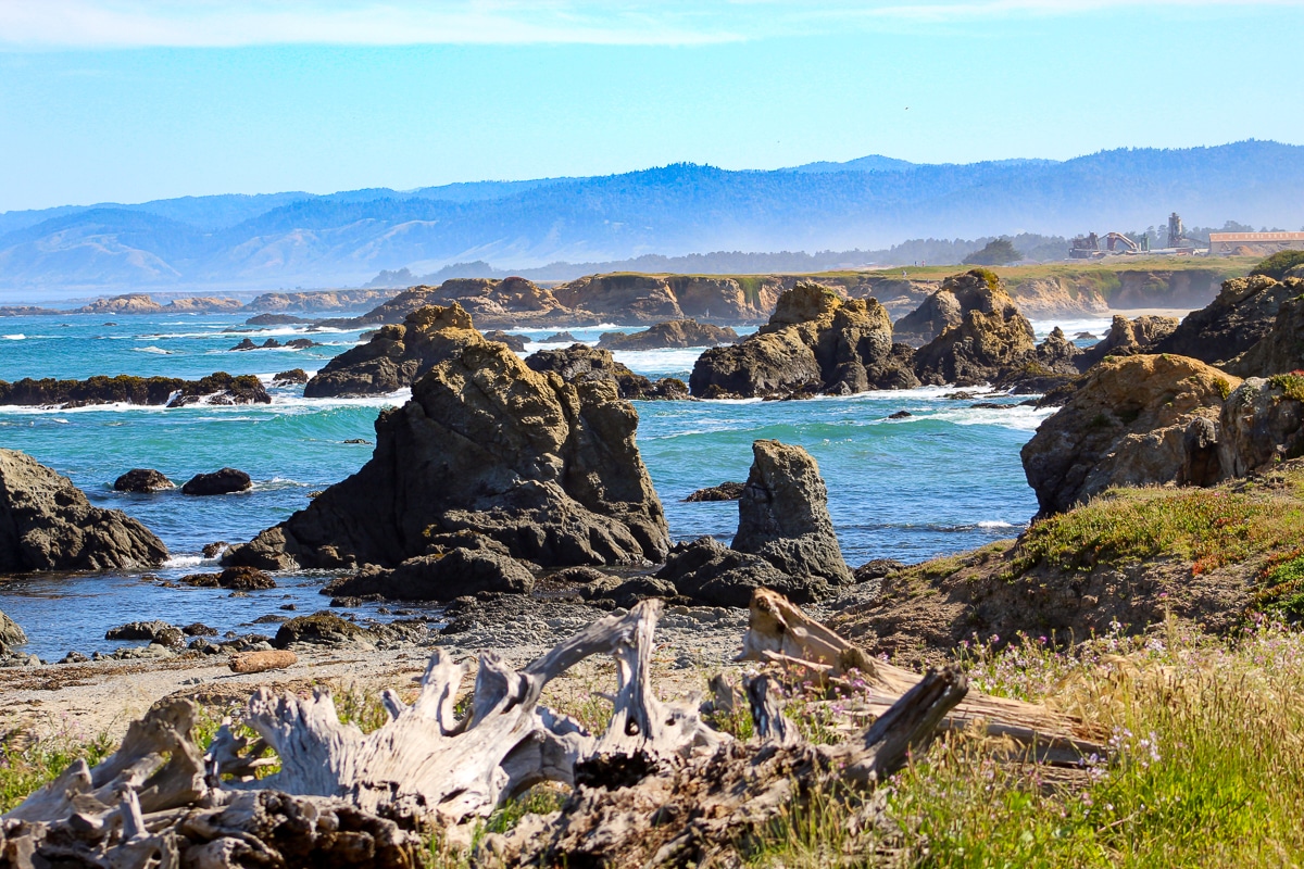 The Lost Coast from the Coastal Trail - Fort Bragg CA. Photo by Mary Charlebois