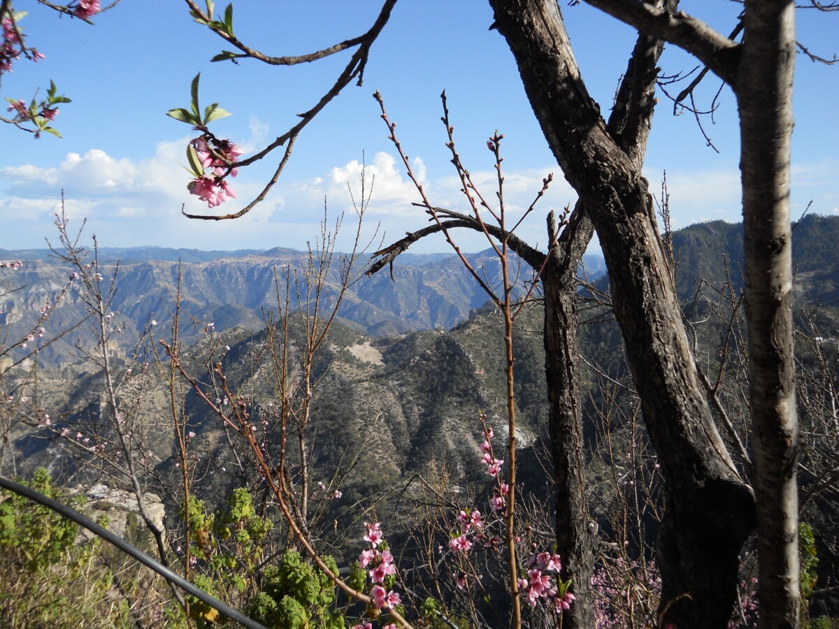 A view of Mexico's Copper Canyon.