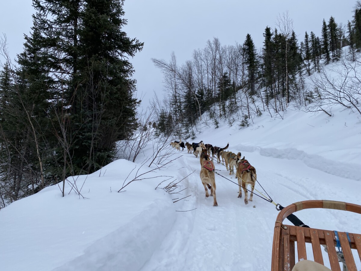 Dogsledding during the winter in Fairbanks.