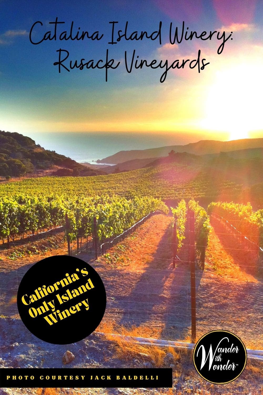 Rusack Vineyards is a Catalina Island winery with roots going back to the Wrigley family. Here is the best of exploring Catalina wines. Plus, some of our favorite things to do while you're visiting California's Catalina Island.
