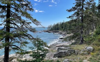 Escape to the Quiet Side of Acadia at Schoodic Peninsula