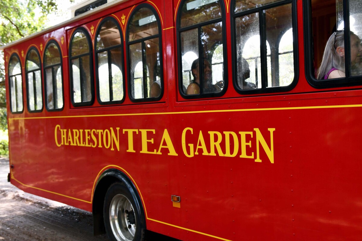 Charleston Tea Garden Trolley