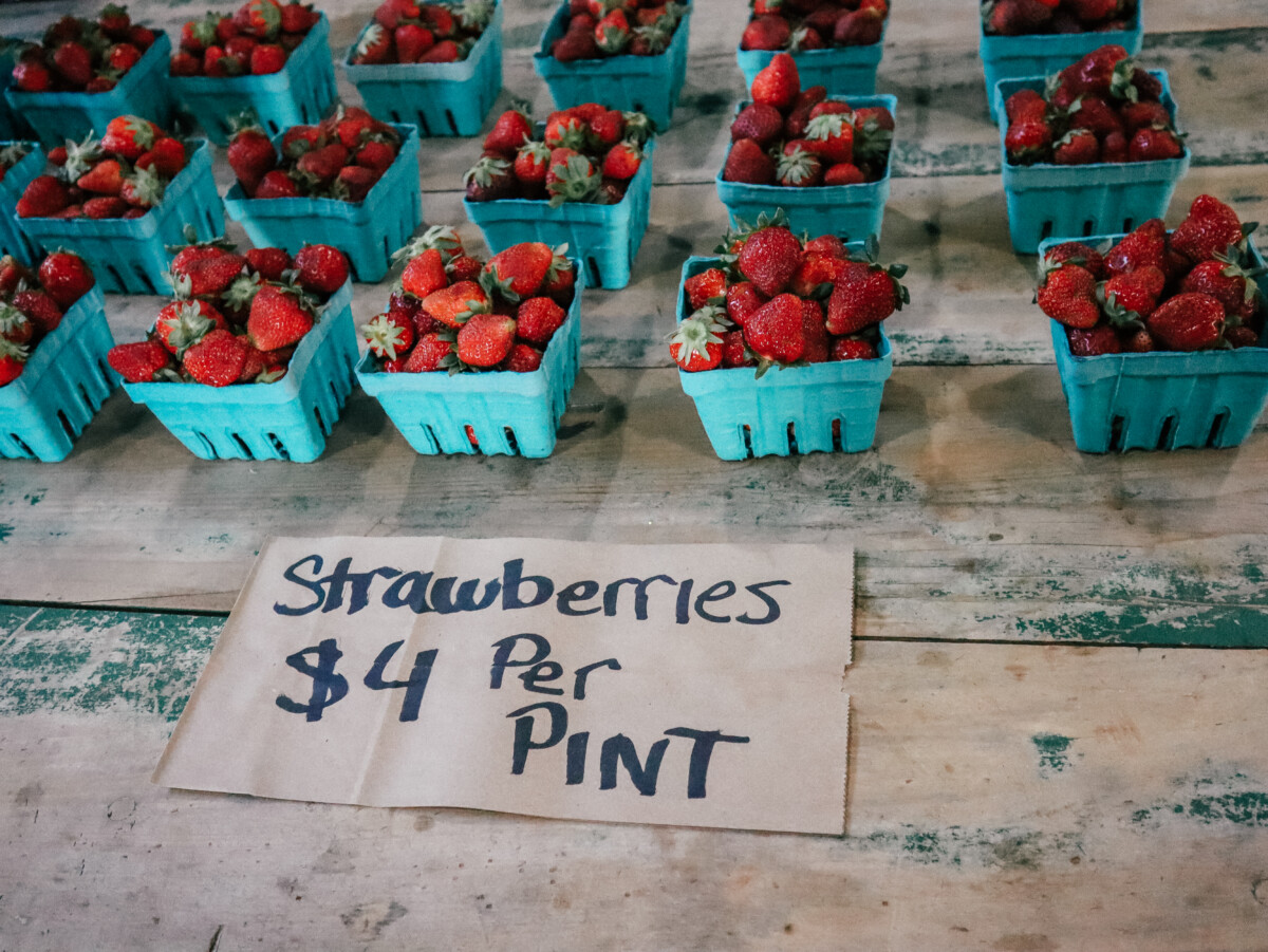 Fredericksburg TX strawberries