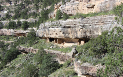 Best Things to Do at Walnut Canyon National Monument