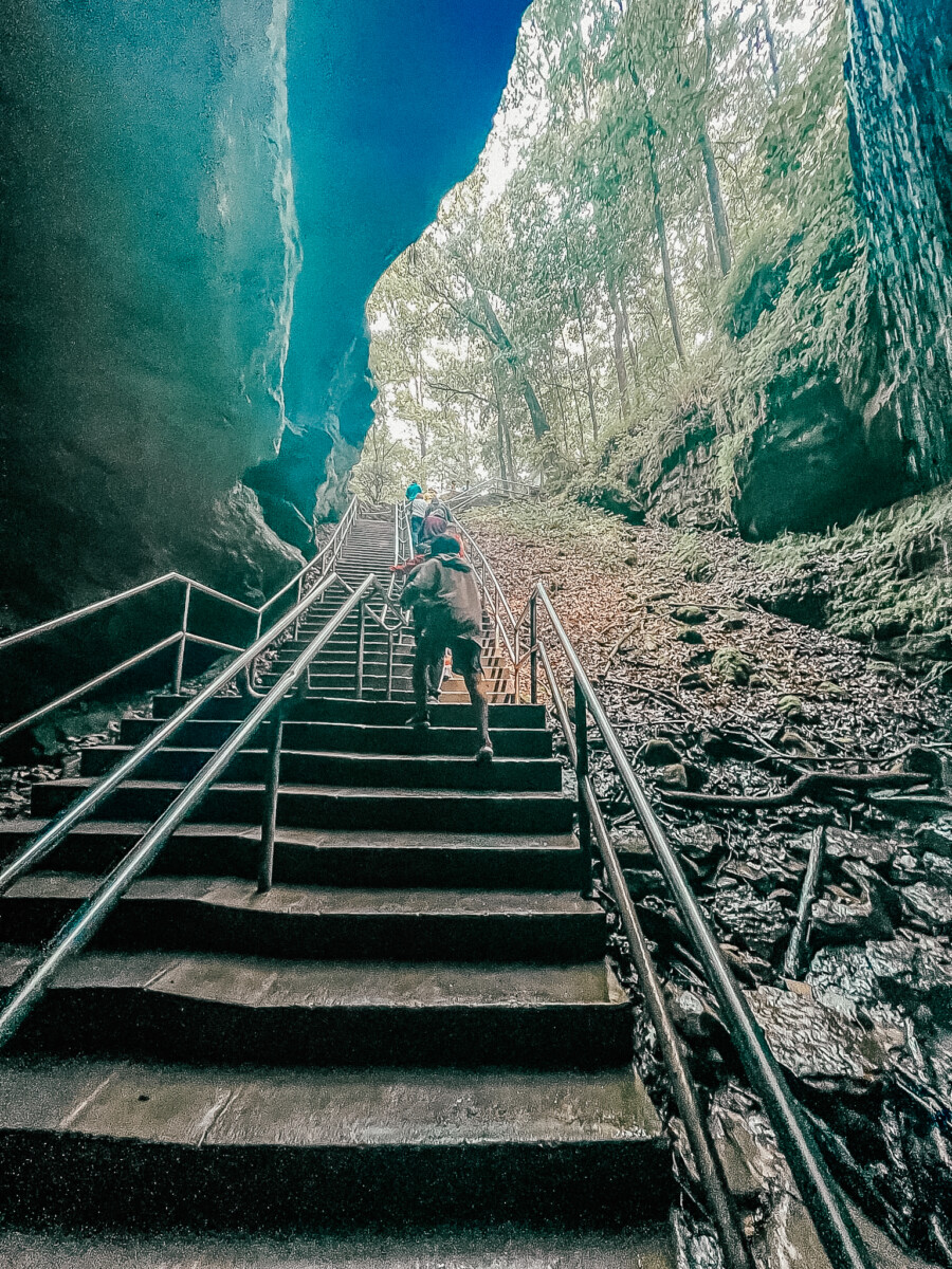 Stairs to Mammoth Cave