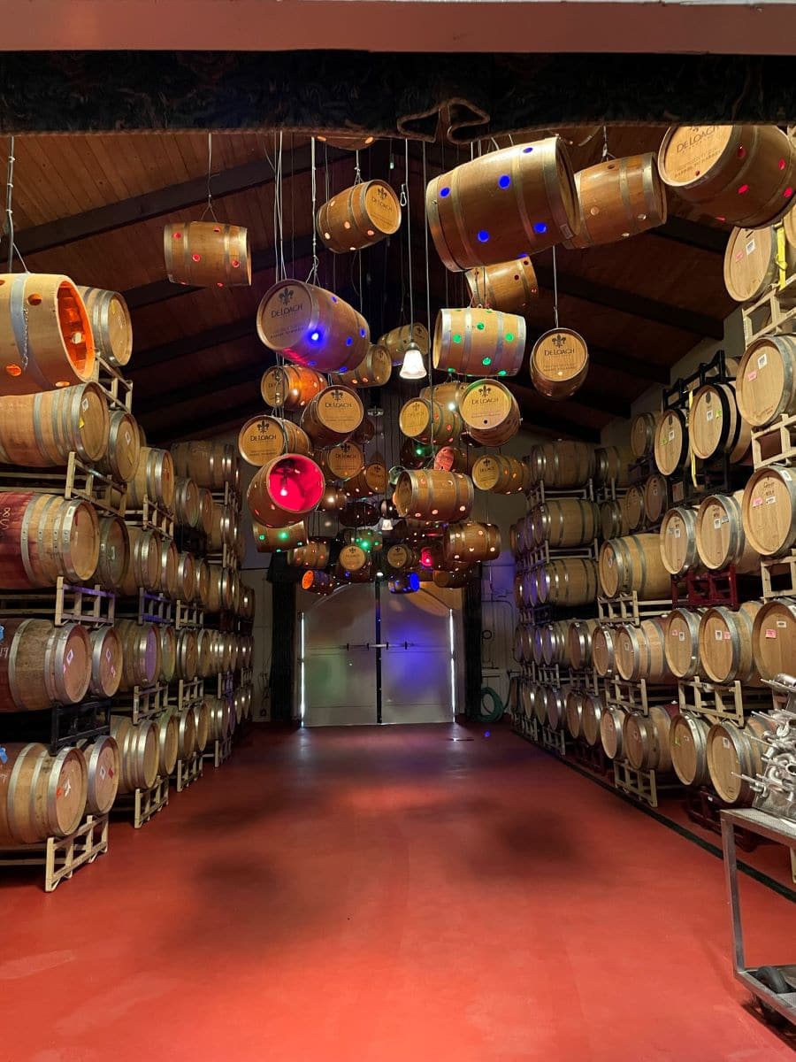 The barrel room at DeLoach Vineyards.