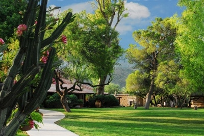 Front Lawn Tanque Verde Ranch
