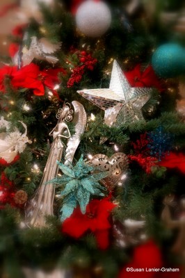Christmas at Fairmont Scottsdale Princess