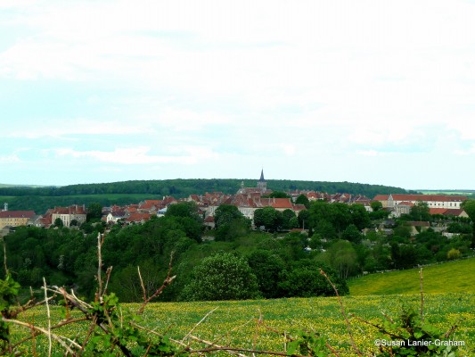 View of Flavigny sur Ozerain