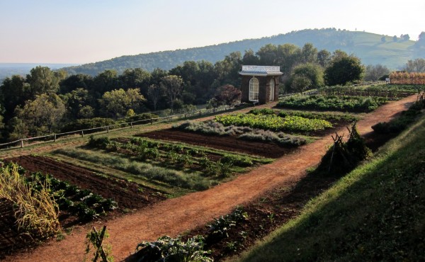 veggie garden Monticello by Josh