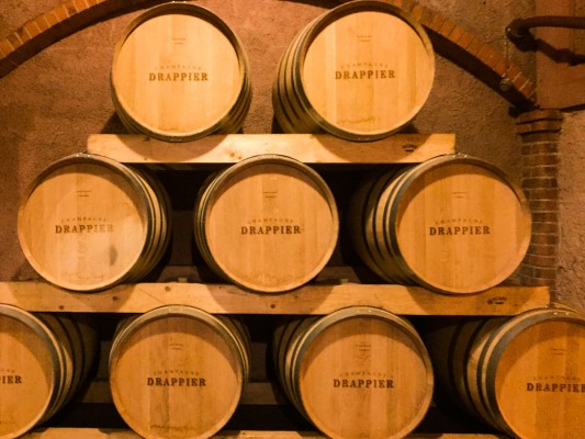 Allier oak barrels at Champagne Drappier