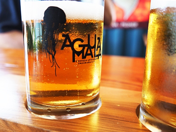 Agua Mala Ensenada and the Baja Craft Beer Boom | Wander With Wonder