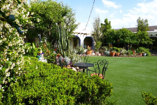 Hacienda Del Sol courtyard in Tucson