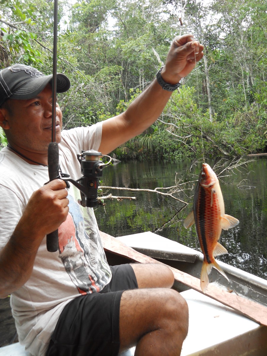 Fishing on the Mahaica River near the Ayonto Hororo Eco-Lodge in Guyana