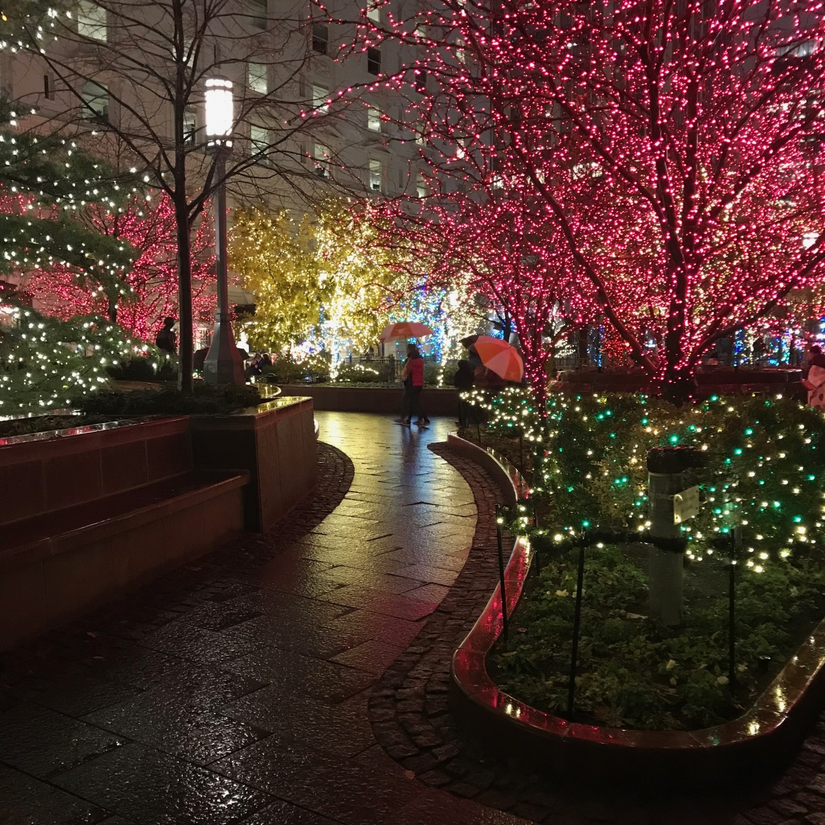 Temple Square Lights - Salt Lake City Christmas
