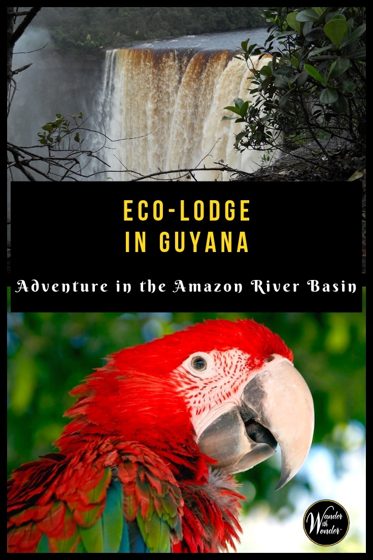 For those who want to visit an Eco-Lodge in Guyana, the Lokono-Arawak Amerindian Reservation in the Amazon River basin offers a once-in-a-lifetime experience. #ecotravel #travel #Guyana #adventure #adventuretravel #amazon
