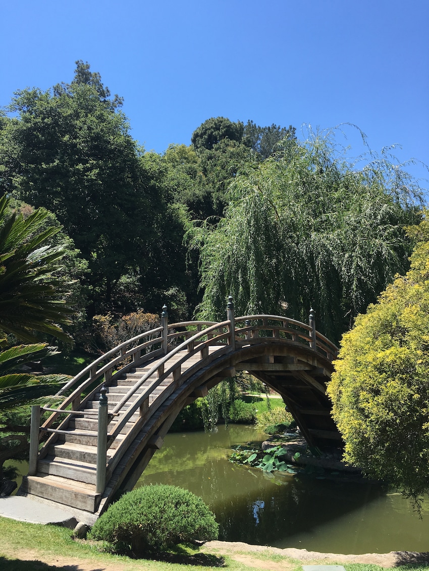 best gardens in North America - Blending art and gardens, The Huntington offers an escape near LA. Photo by Catherine Parker