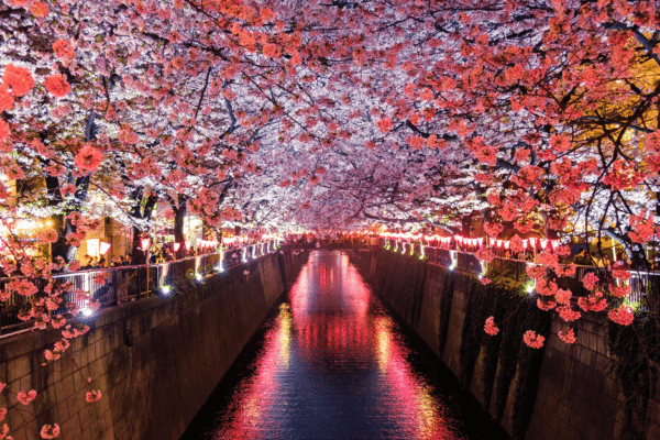 Japan in the Spring