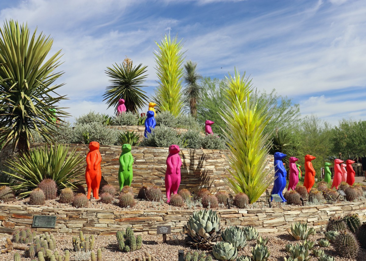 Phoenix Desert Botanical Garden Summer Secrets Wander With Wonder