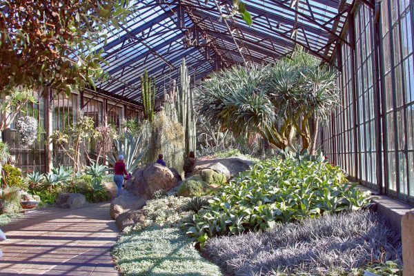 The dry climate conservatory at Longwood Gardens. Photo by Barbara Rogers