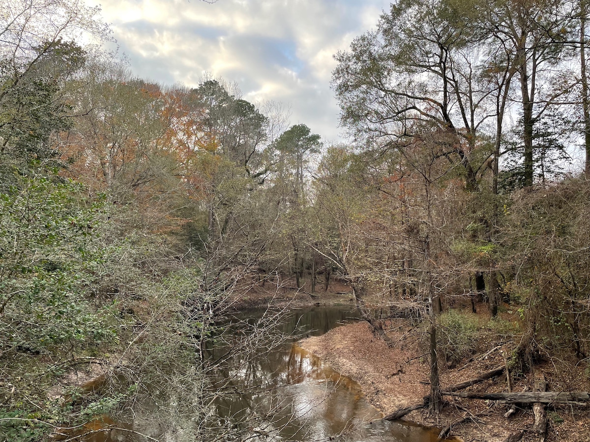 Things to do in Beaumont Big Thicket National Preserve