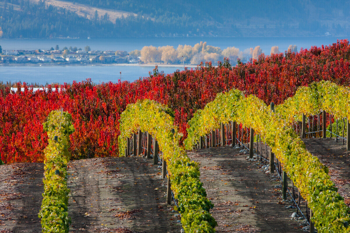 Washington's Lake Chelan wine country offers exceptional food, wine, and accommodations. It is approachable and relaxed in a stunning setting.