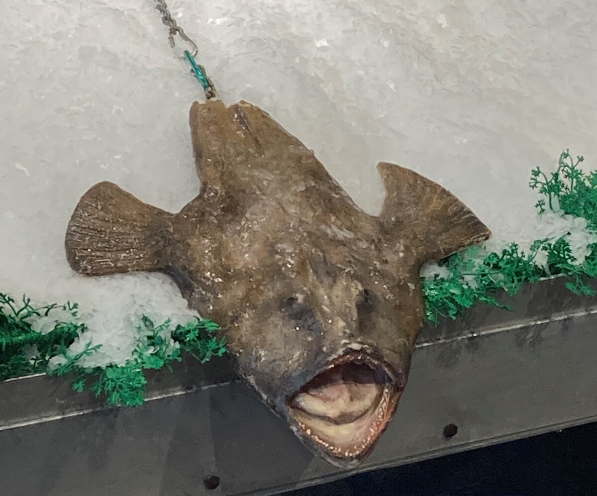 Anglerfish at Pike Place Fish Market.