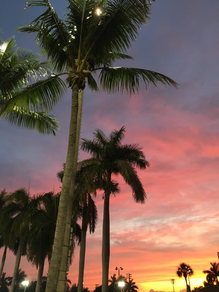Florida sunset Boca Raton, best florida beaches