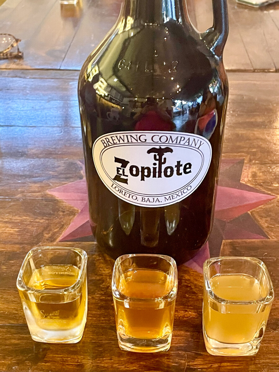 Beer tasting at The Zopilote Brewing and Co. Loreto Mexico
