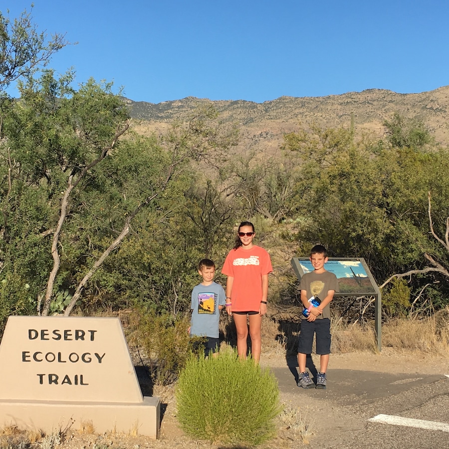 Desert Ecology Trail