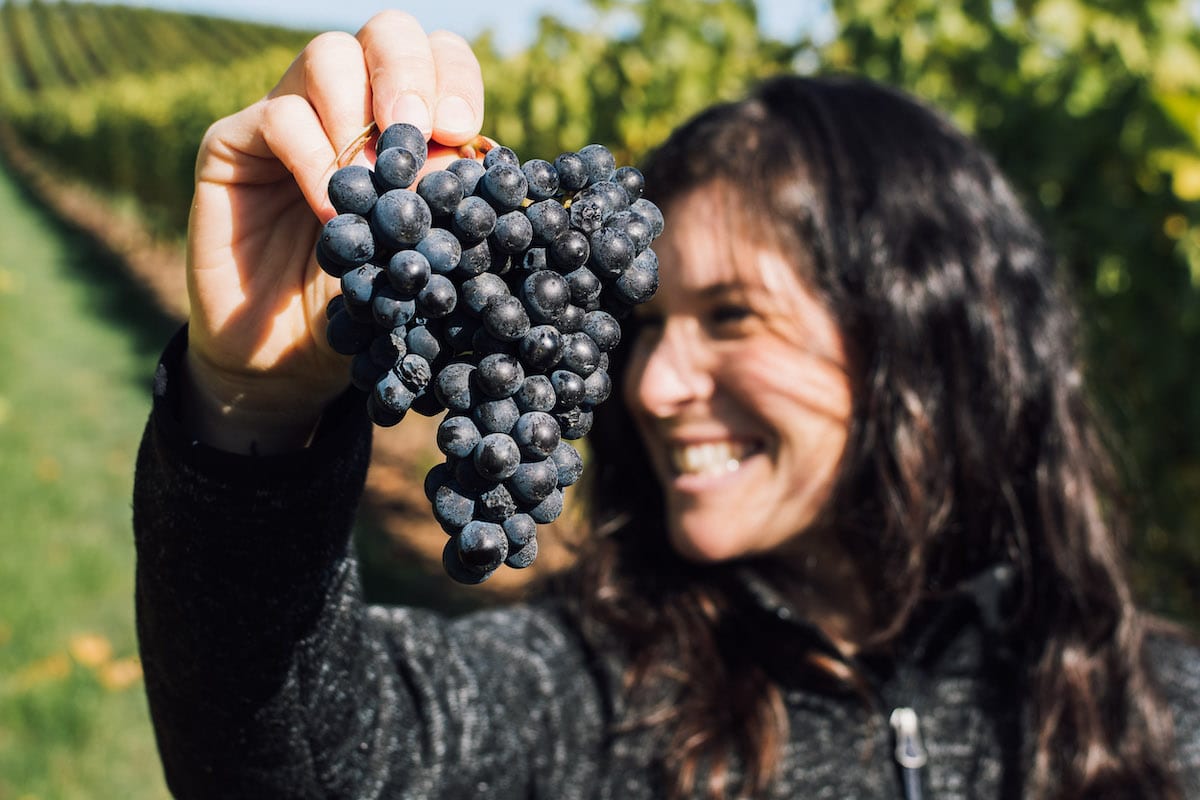 AHIVOY helps Hispanic-owned wines of Willamette Valley