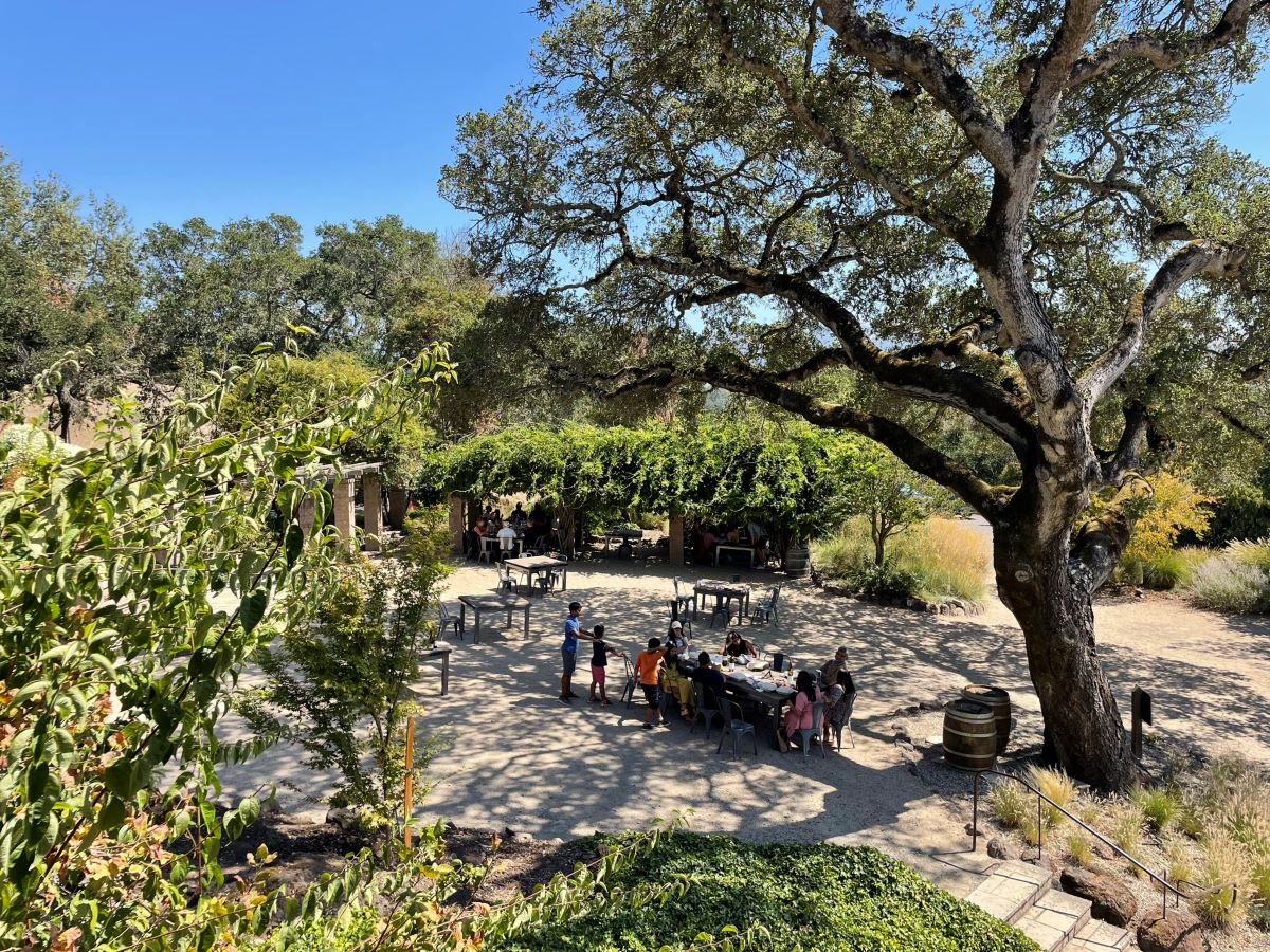 Picnic under the old oaks at Matanzas Creek Winery, a perfect place to lunch at one the most beautiful Santa Rosa wineries.