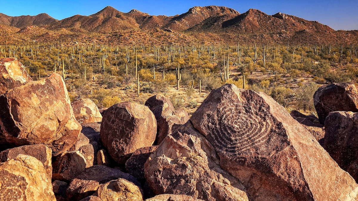 Saguaro National Park Petroglyphs