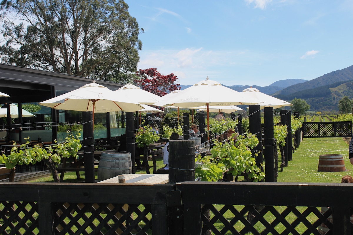 Outdoor wine and dining area at Saint Clair Winery, Marlborough, New Zealand.