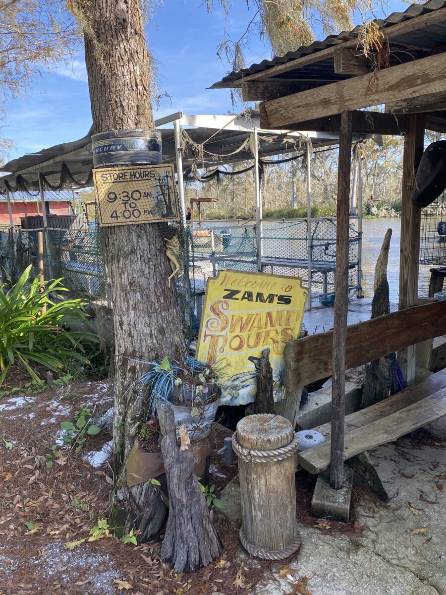 Two Days In Cajun Country Zam’s Swamp Tours