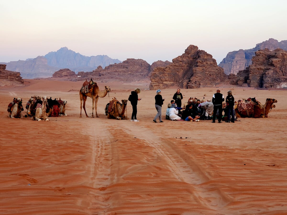 Guests sip tea and watch the sunrise on an early morning camel ride.