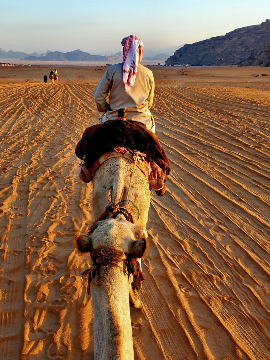 The sunrise camel ride was the highlight of my visit.