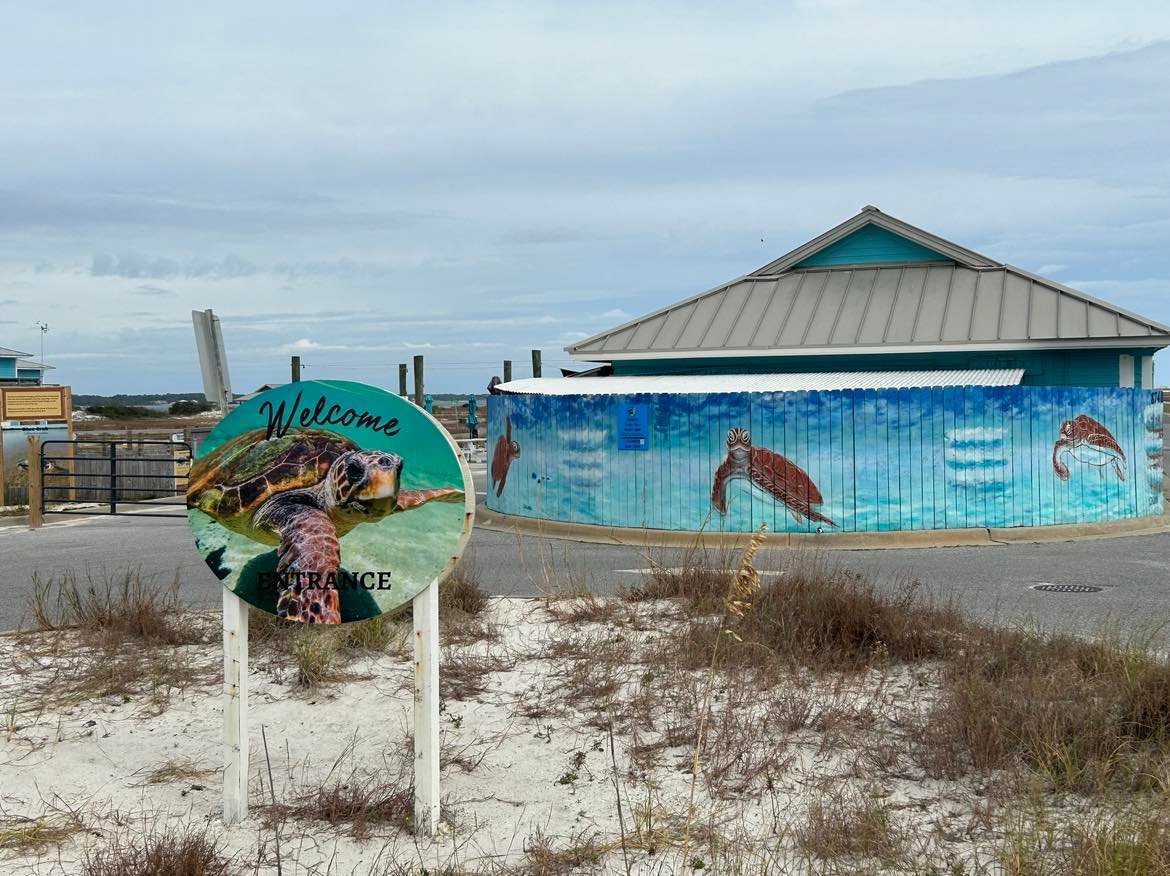 Navarre Beach Sea Turtle Conservation Center.