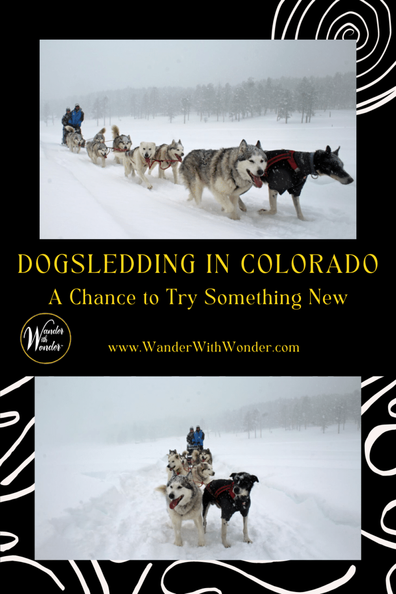 Ready for some winter fun with dogs? Try your hand at something new: dog sledding! Here's what to expect when you book a dog sledding adventure.
