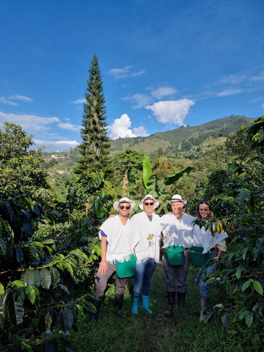 A coffee plantation in MedellÍn.