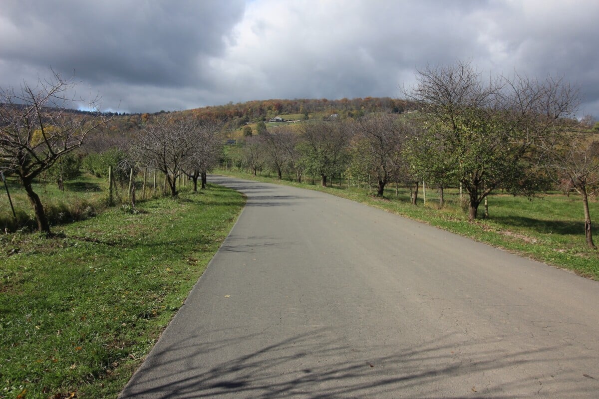 The road to Bluemont Vineyard goes right through the Great Country Farm apple orchard.