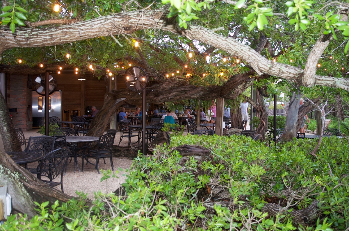 The Mar Vista Restaurant Patio with buttonwood trees.