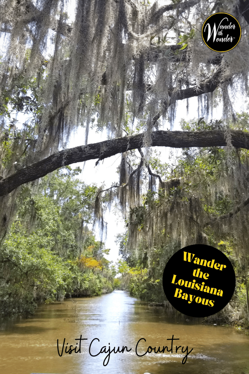 Spend time in Louisiana's Cajun Country to discover the best food, people, animal life, and culture. Read on for what you must do when you visit Cajun Country.