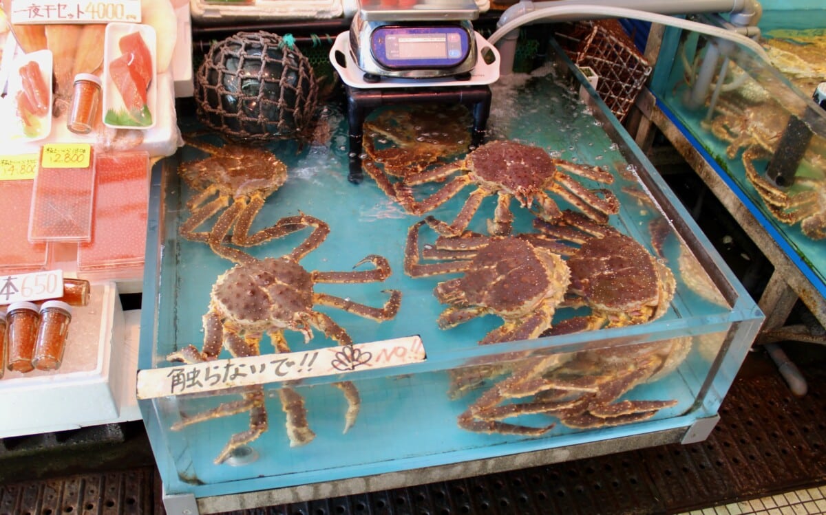 It's not often one gets to see a tank of live king crabs. We were tempted to buy one and have the vendor cook it for us to eat on site but went for the fresh scallops instead.