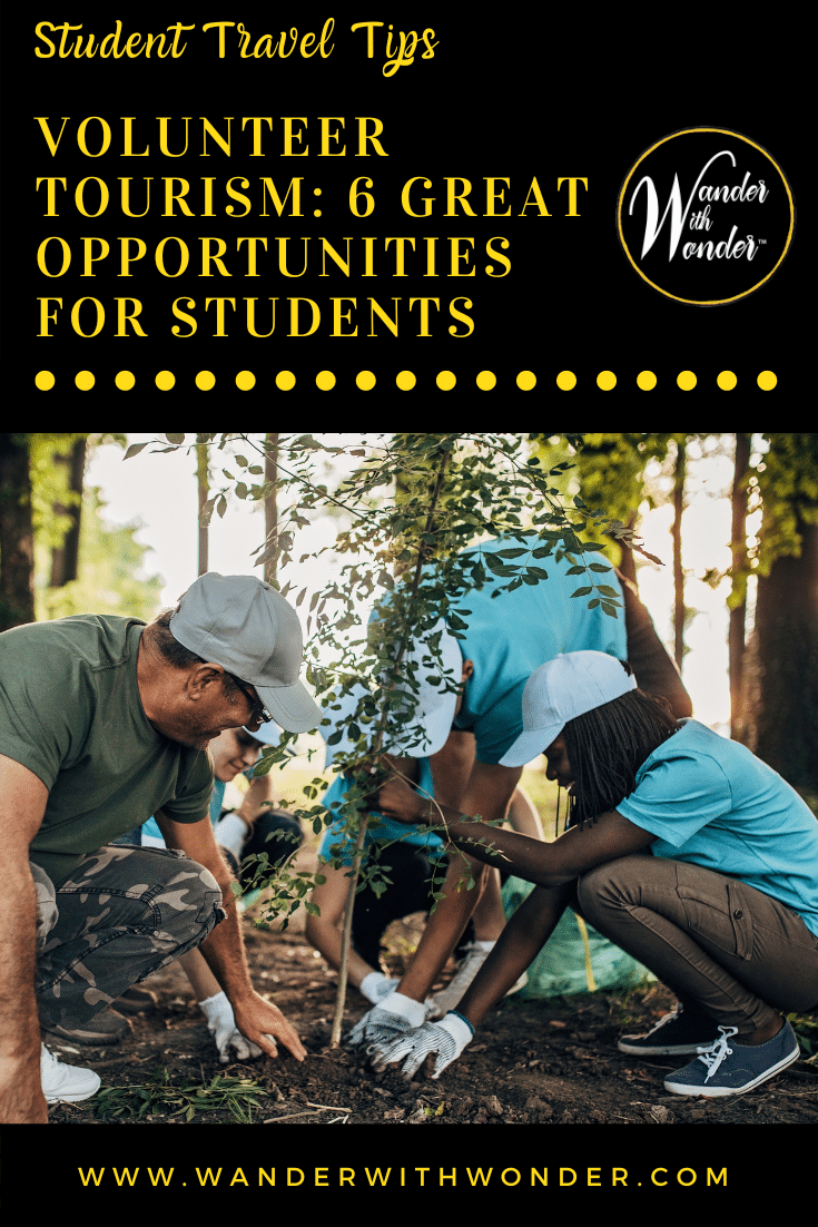 Student volunteer programs allow students to travel to distant locations, help the community, earn social skills, and explore places like the locals. In this article, you will find six great volunteer tourism opportunities for students you can use for your next vacation.