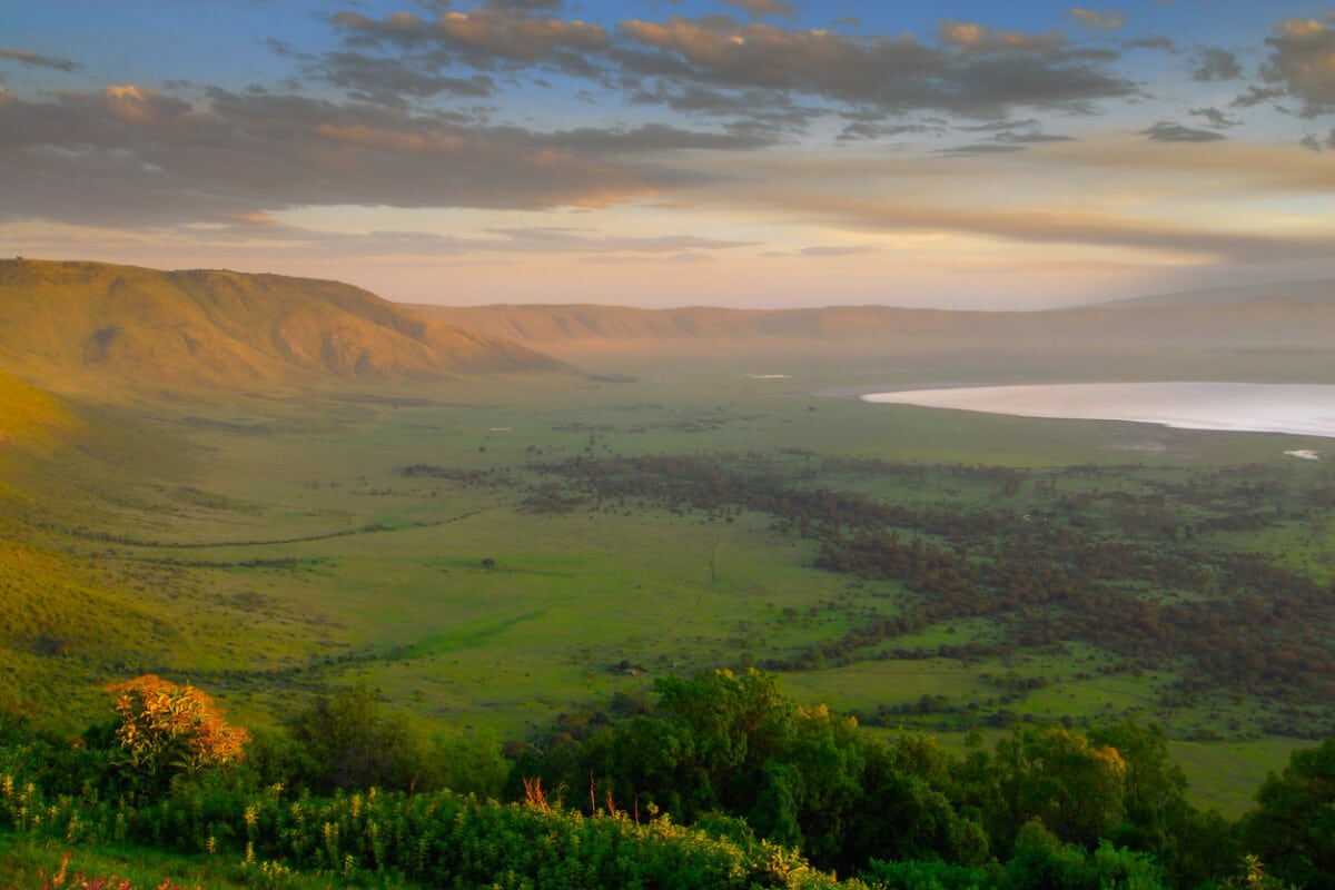 The west rim of the Ngorongoro crater at sunrise in Tanzania