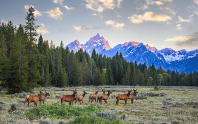 6 Lesser-Known Hikes in Jackson Hole, Wyoming