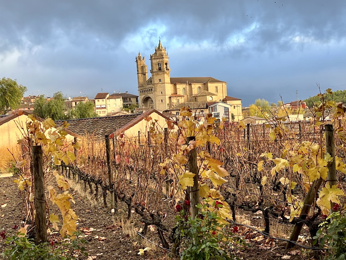 Looking across vineyards to the Church of San Andres in Elciego in Basque Country’s Rioja wine region.